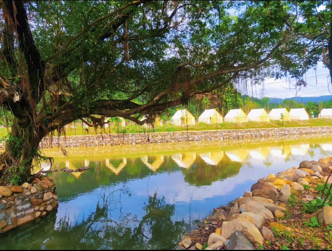 九溪村溪坂洋青山宫网红景点旅行图片 3