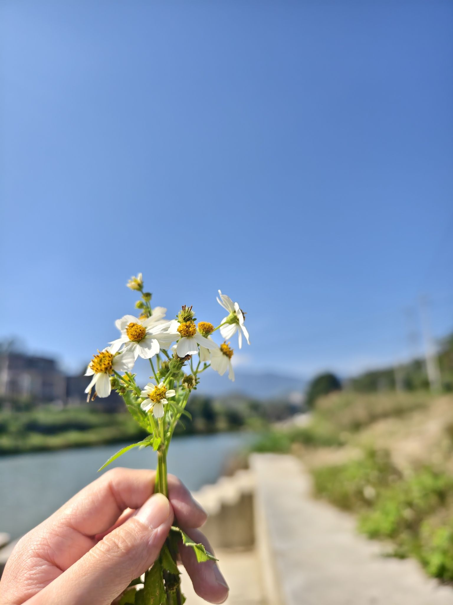 九溪村溪坂洋青山宫网红景点旅行图片