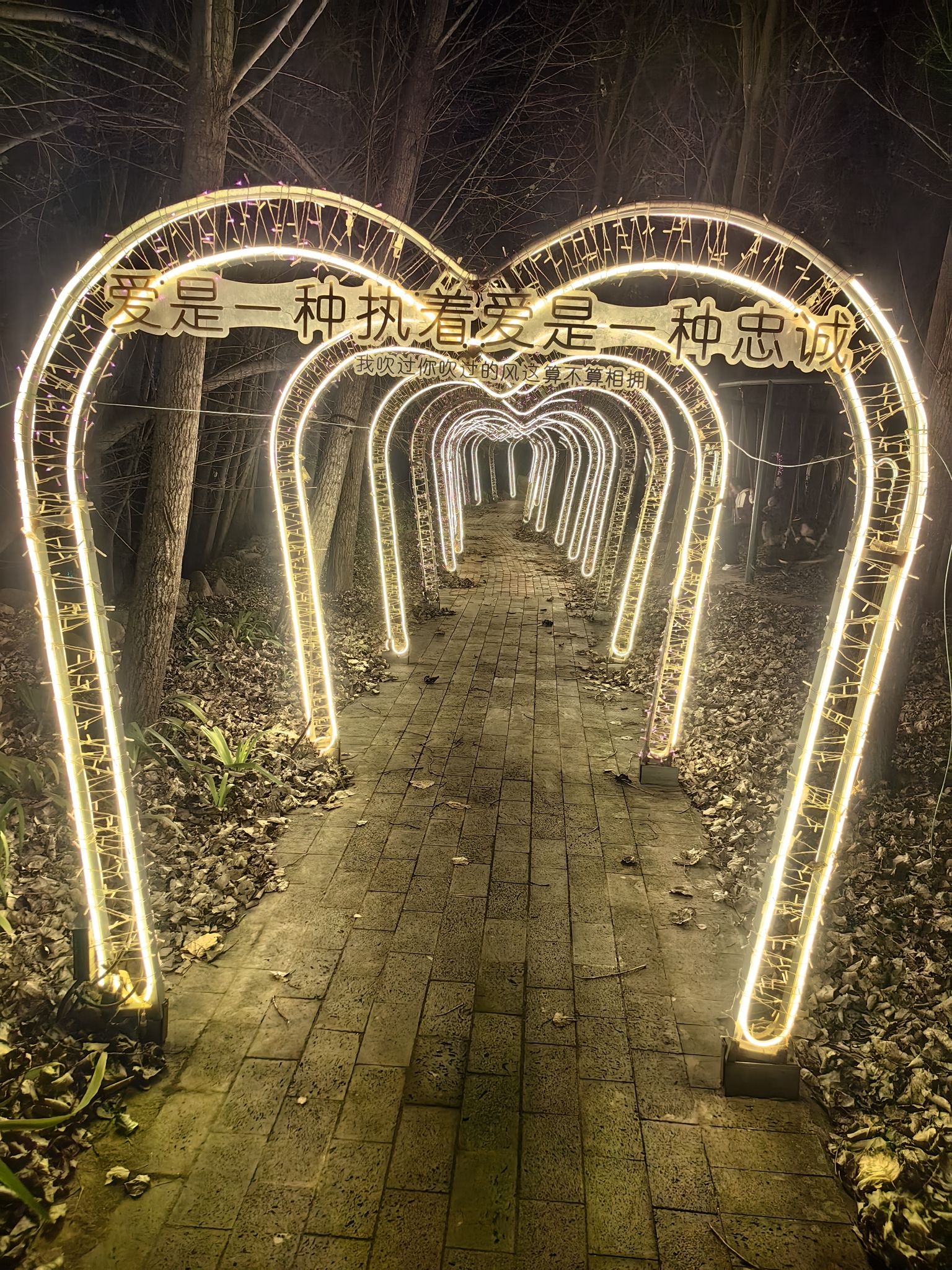 敬业民族风情园旅行图片 2