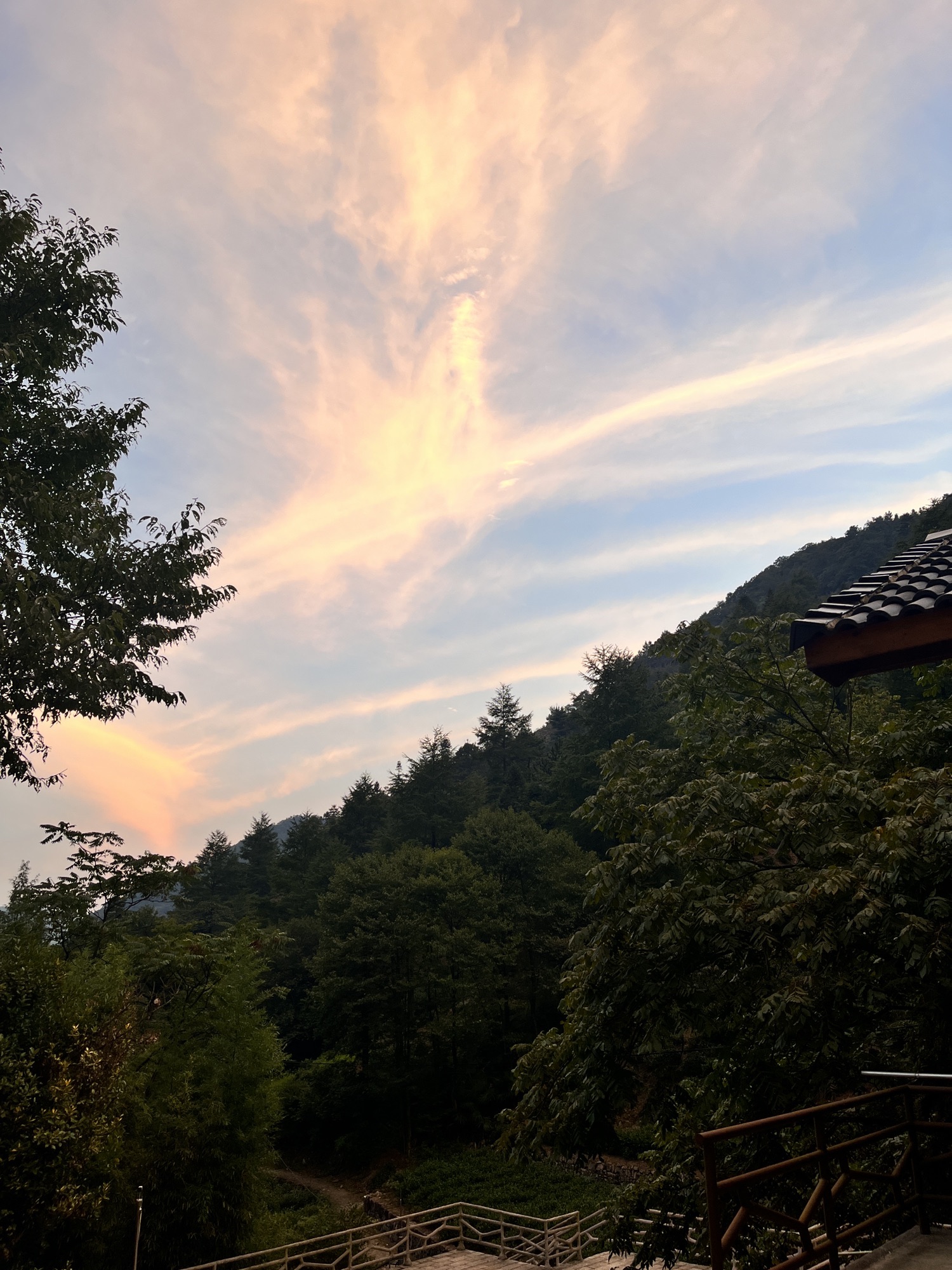 安吉白茶祖圣境旅行图片 1