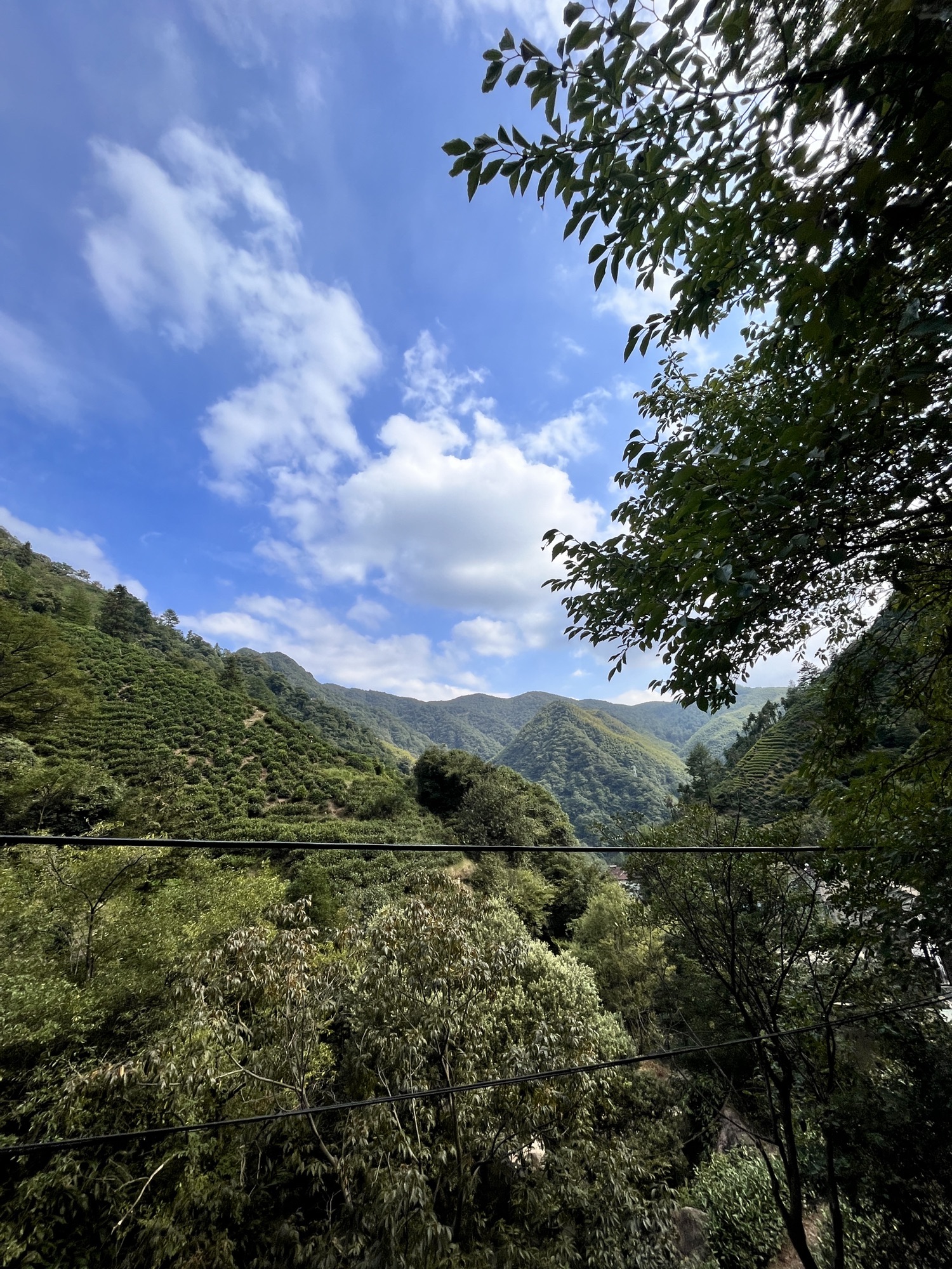 安吉白茶祖圣境旅行图片 2
