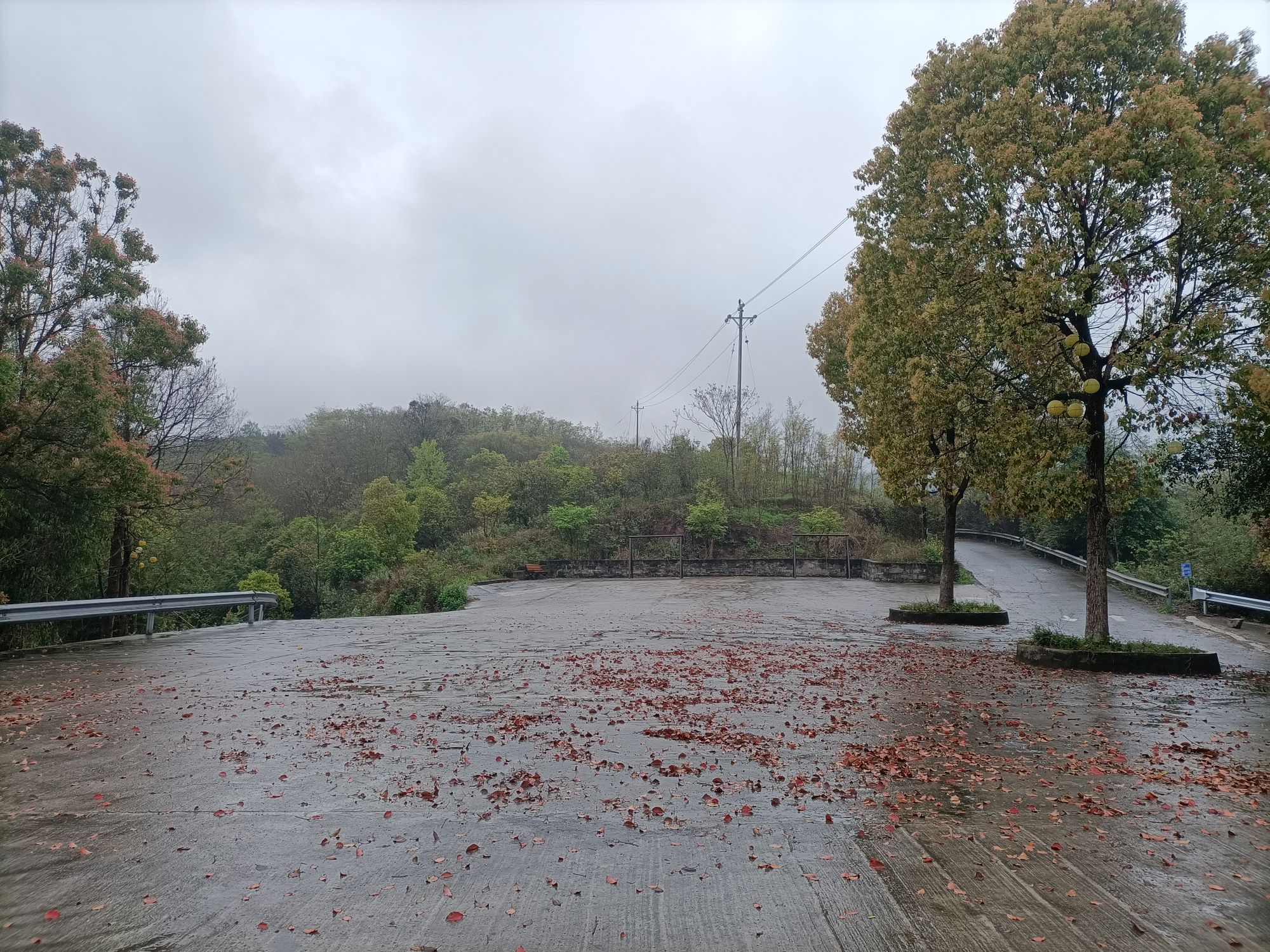 五宝小镇滨江乡村公园旅行图片 2