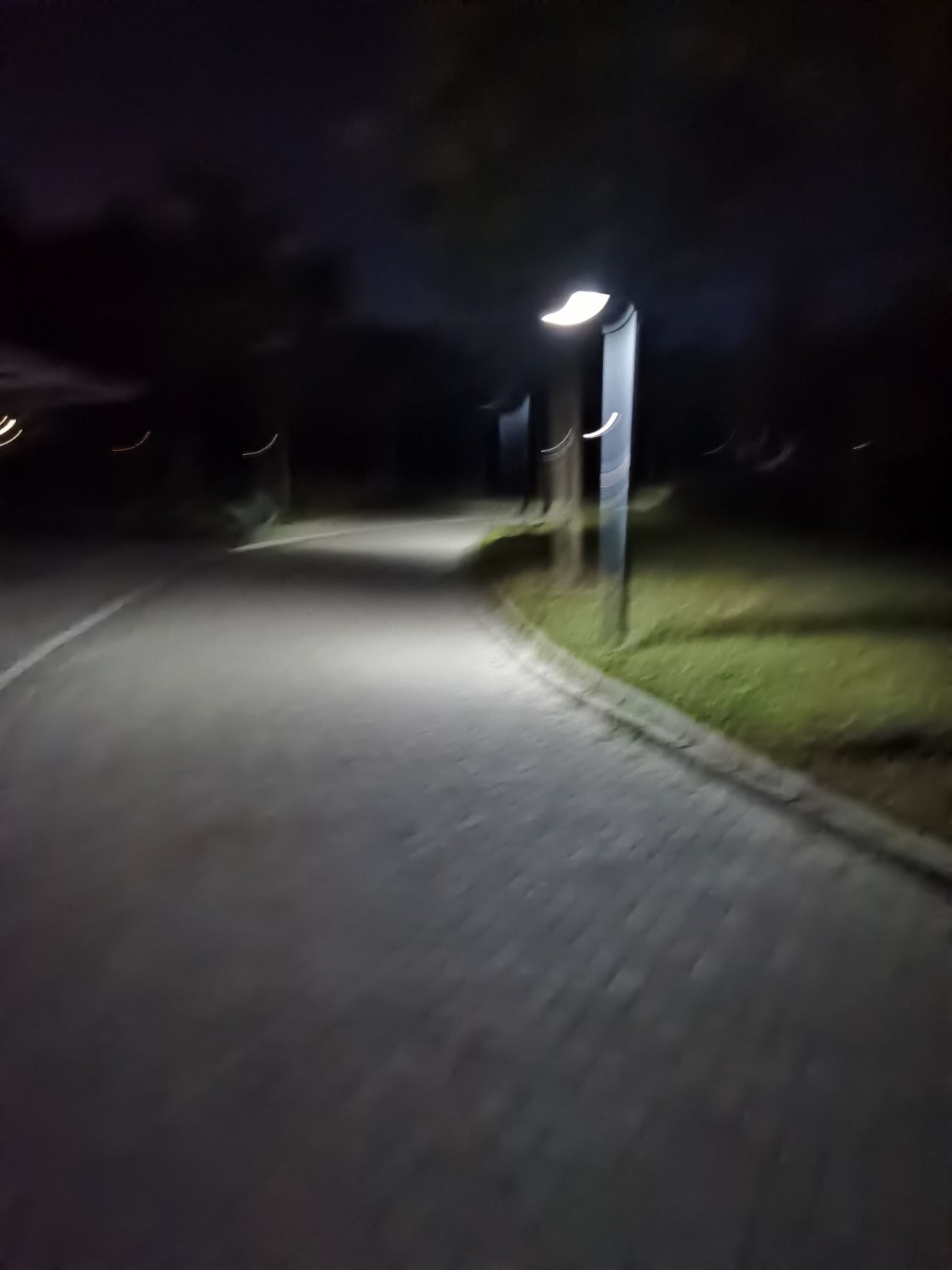 阅景公园旅行图片 1