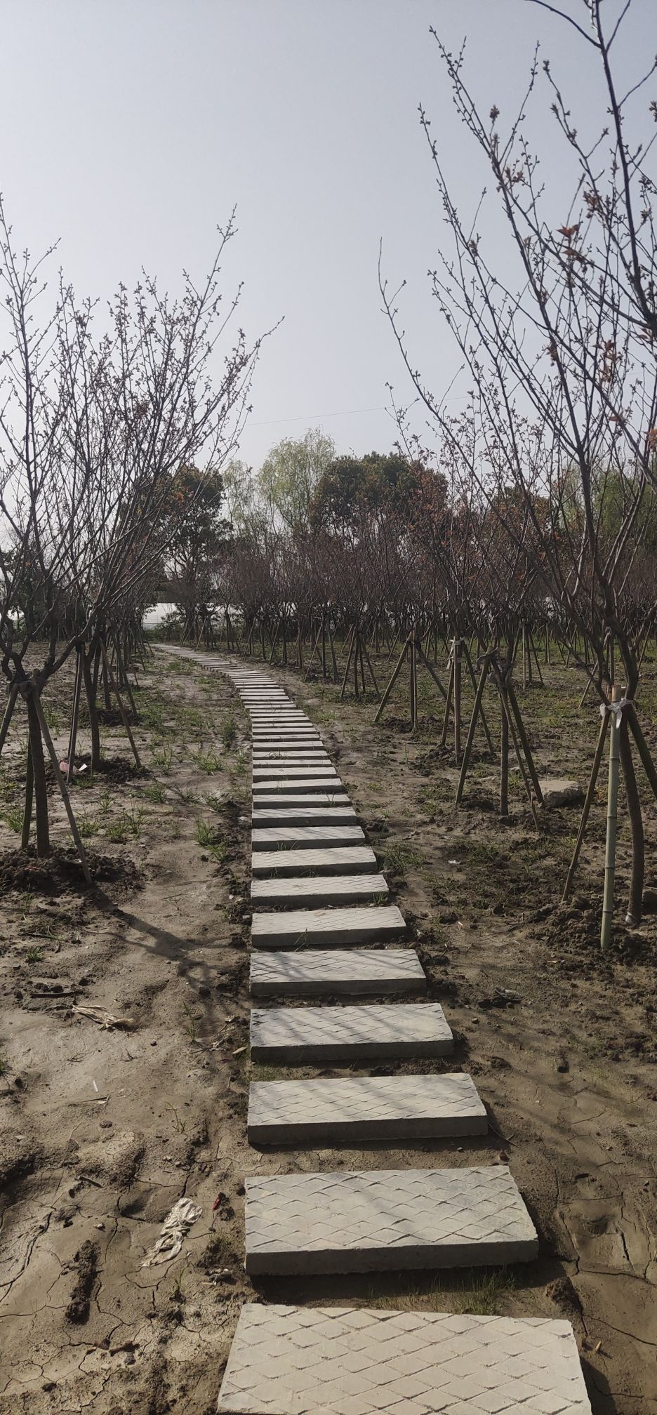 金谷农庄旅行图片 1