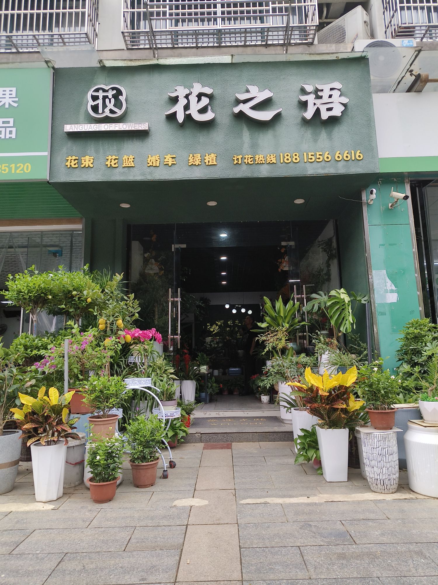 花之语(金鼎茗都店)