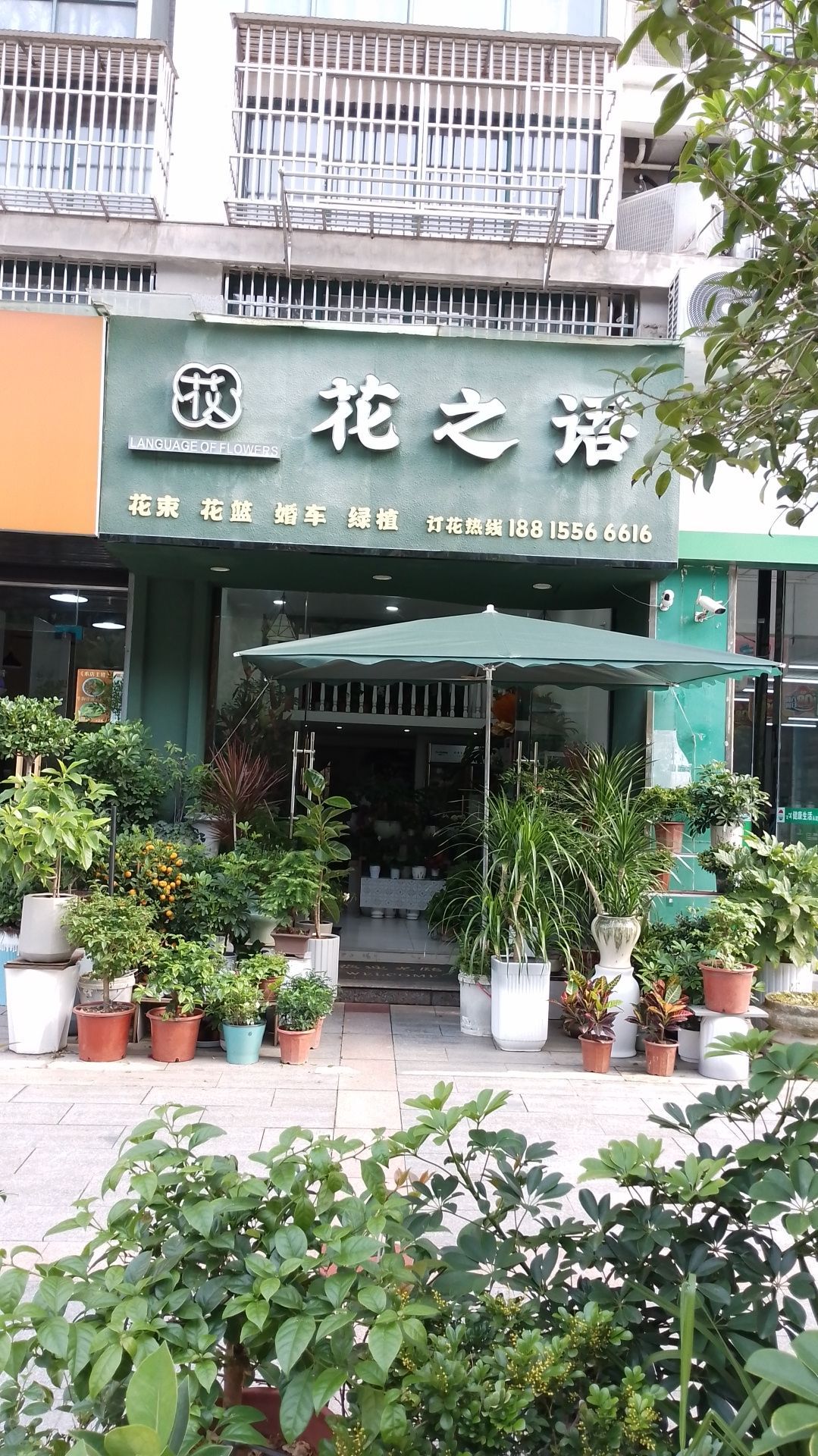 花之语(金鼎茗都店)