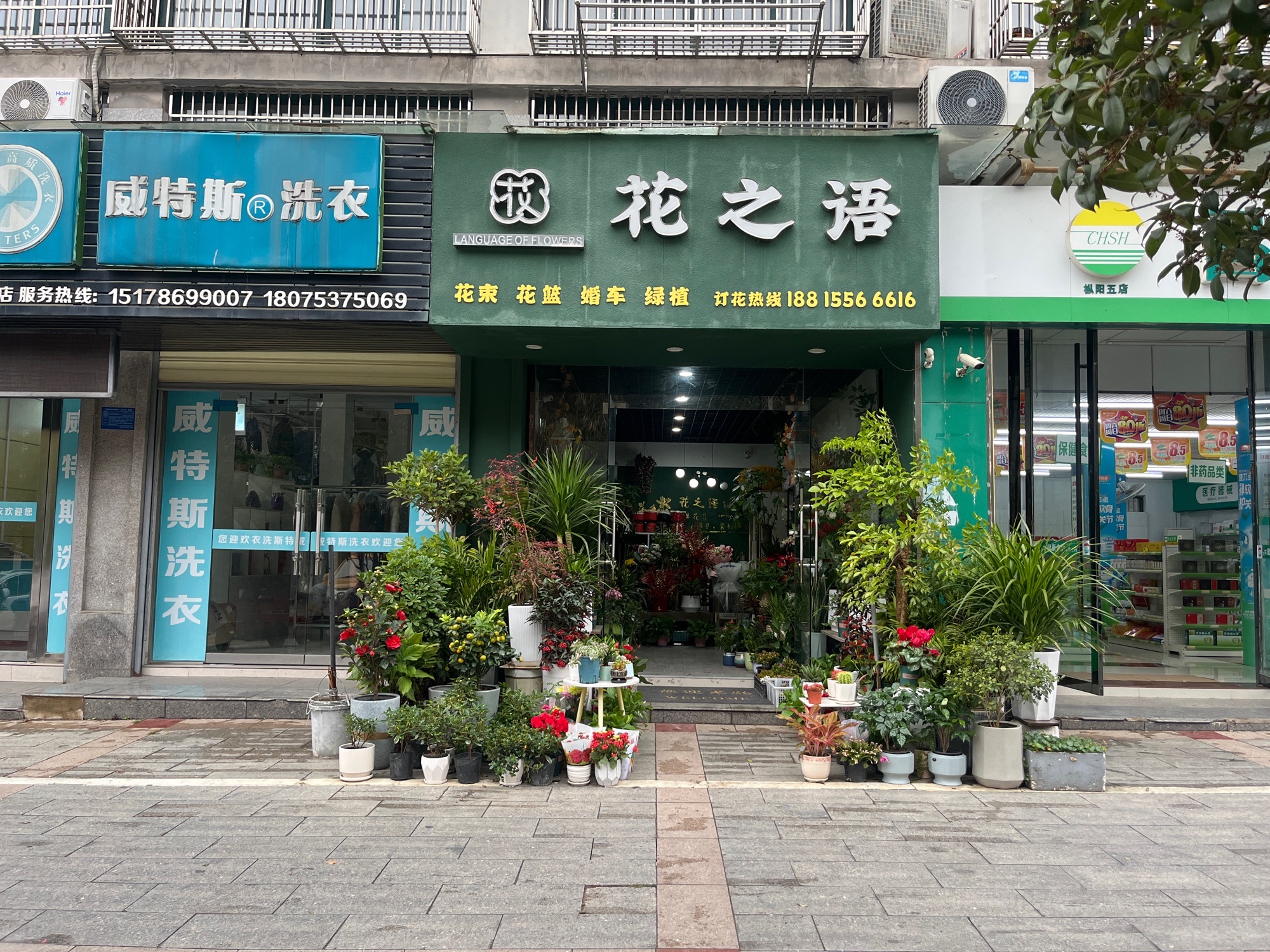 花之语(金鼎茗都店)