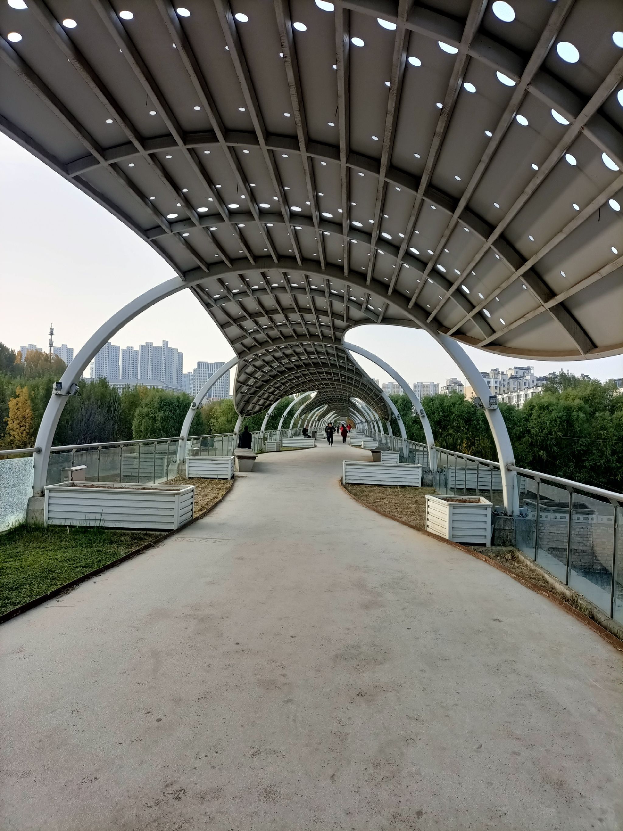 西环体育公园旅行图片 1