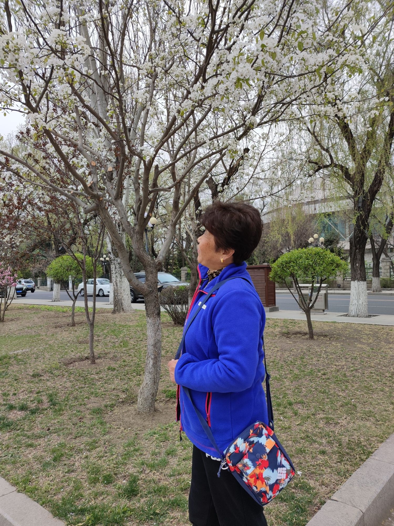 幽芳谷旅行图片 2