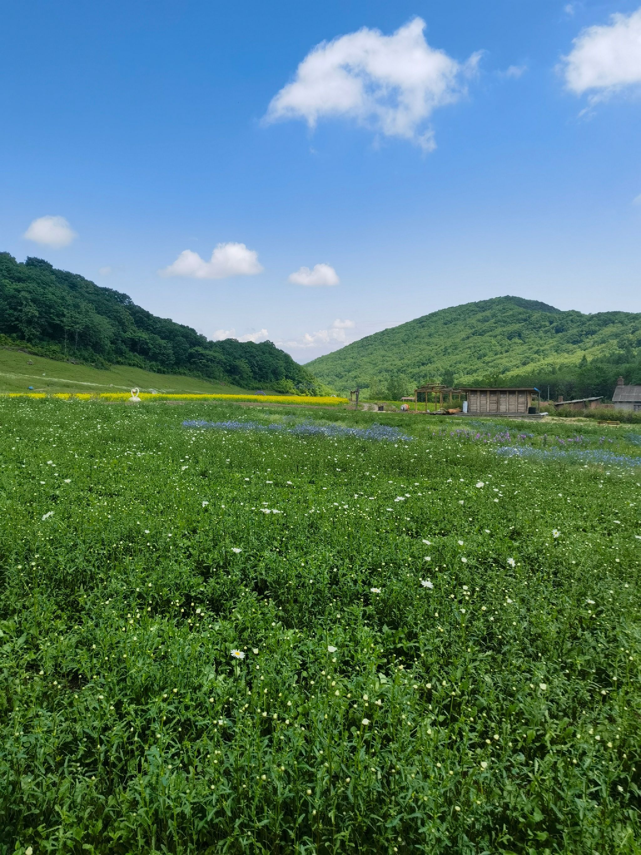 幽芳谷旅行图片 1