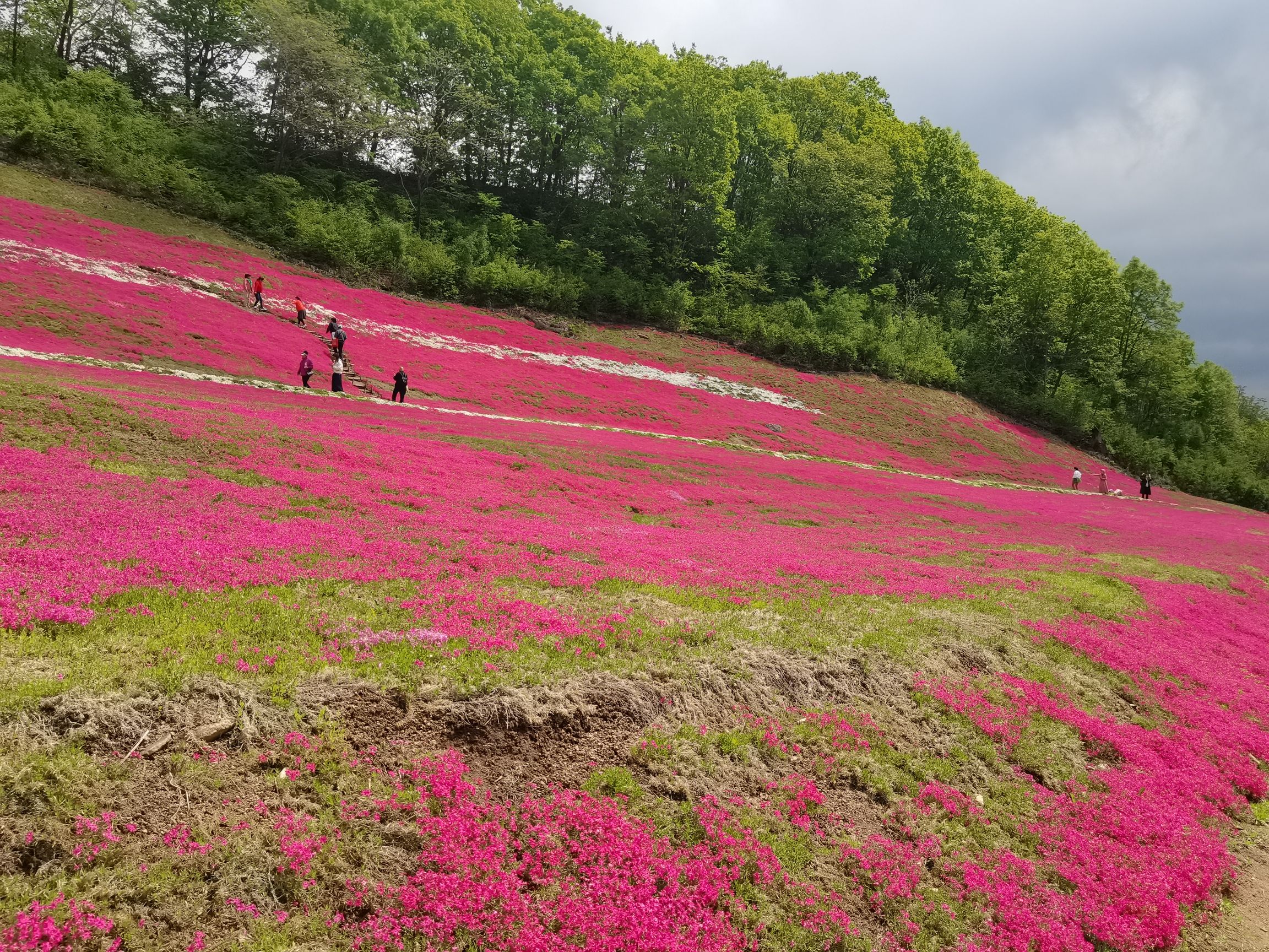 幽芳谷旅行图片 3