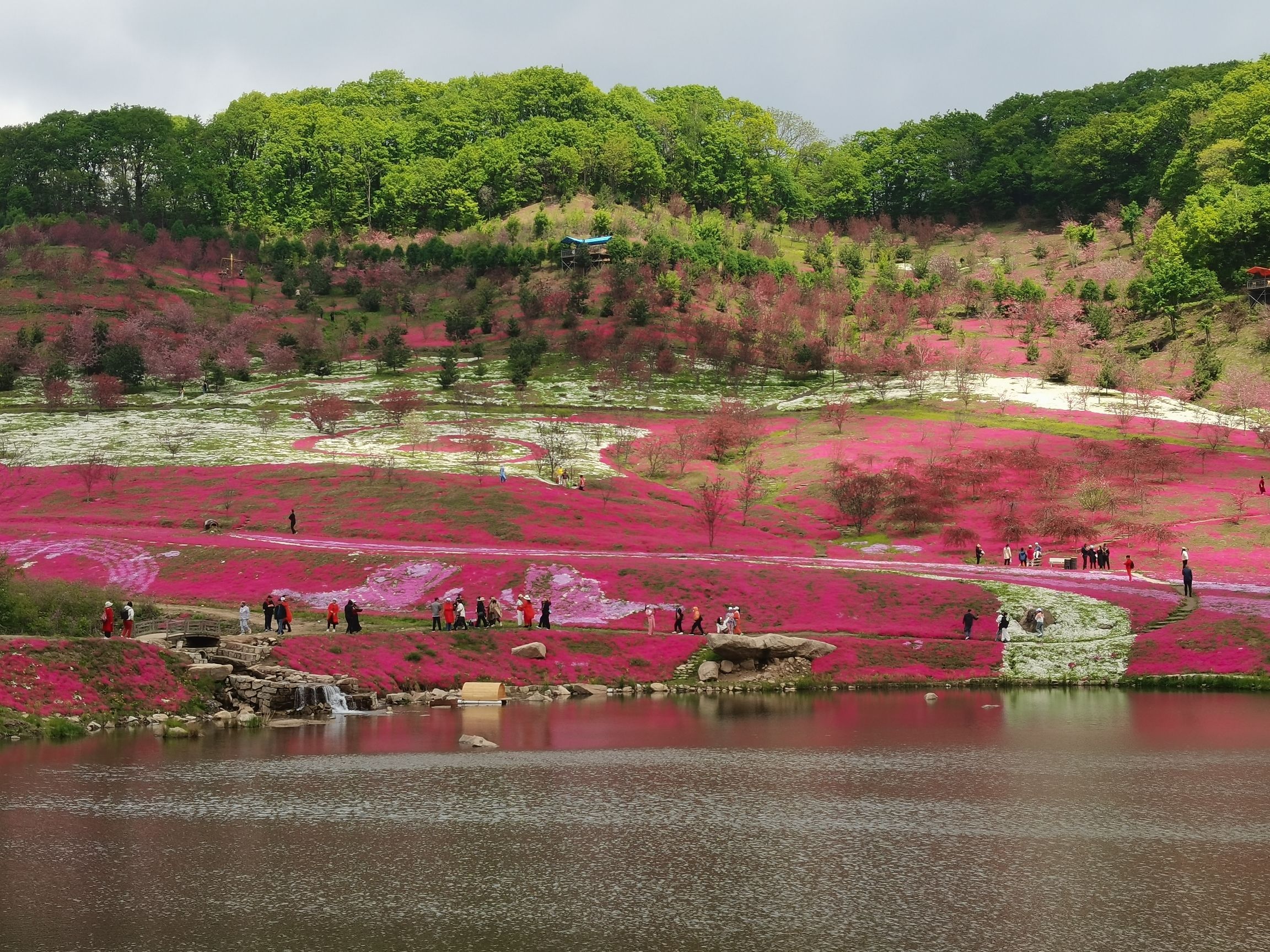 幽芳谷旅行图片 1