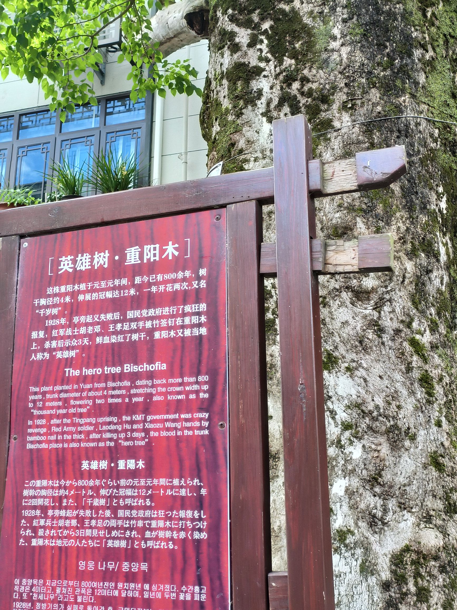 亭旁红色景区旅行图片 3