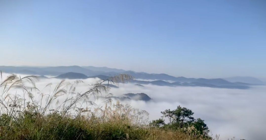 北寮岭公园迎宾亭旅行图片 1