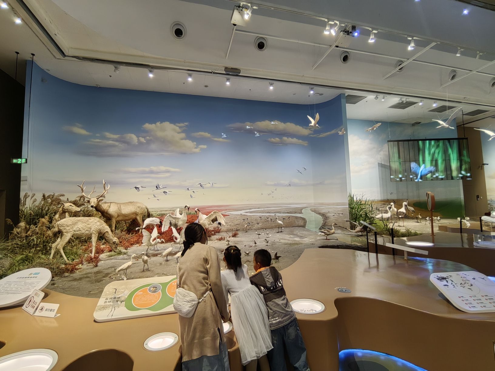 盐城湿地博物园旅行图片 3