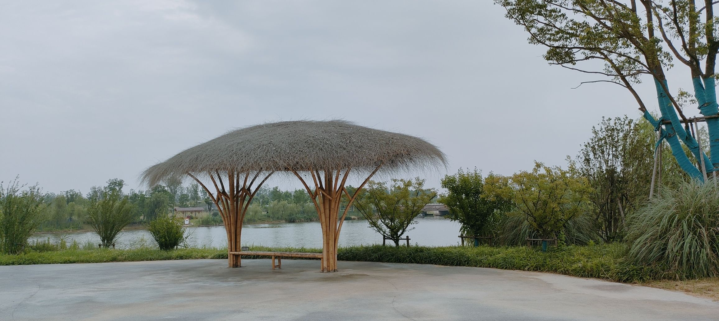 盐城湿地博物园旅行图片 1