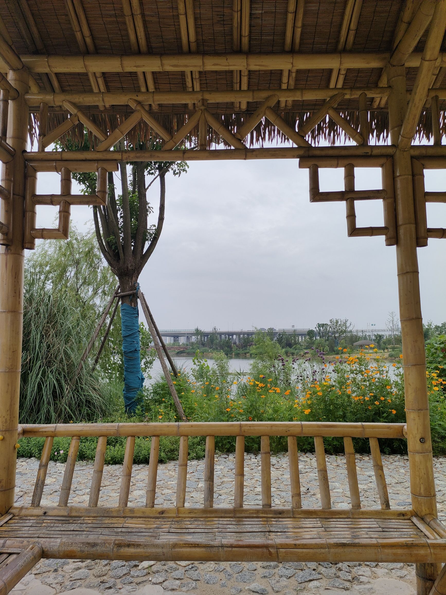 盐城湿地博物园旅行图片 2