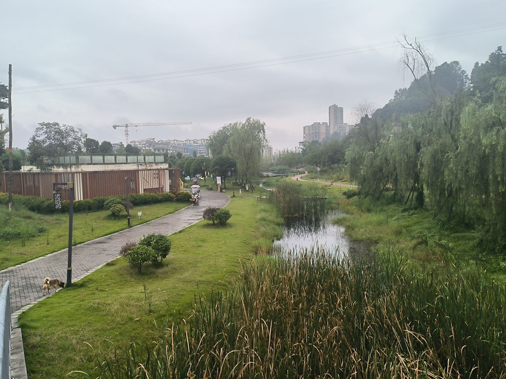 东龙山湿地公园旅行图片 2