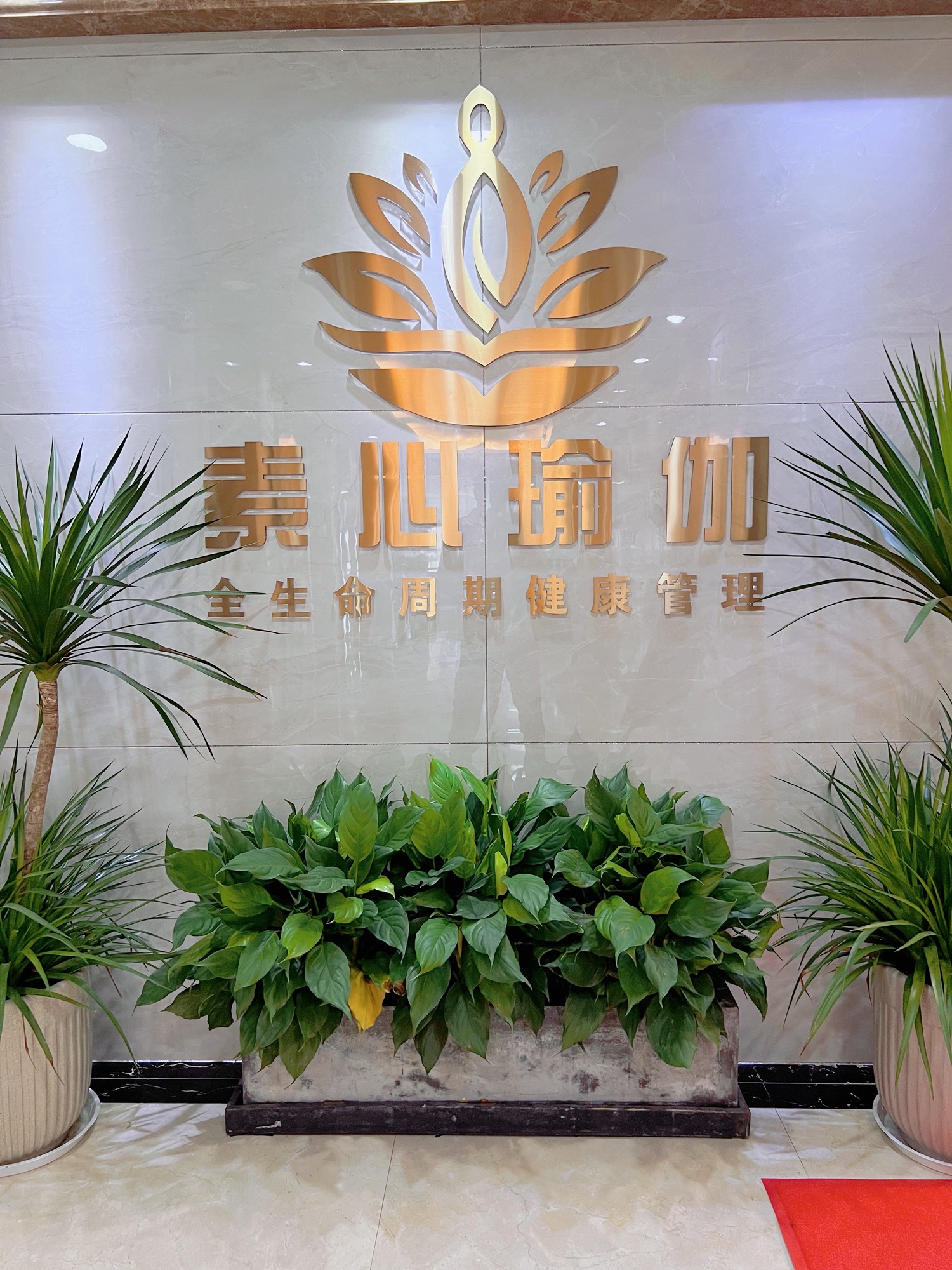 场地封面-素心瑜伽·普拉提生活馆(浙富大厦店)