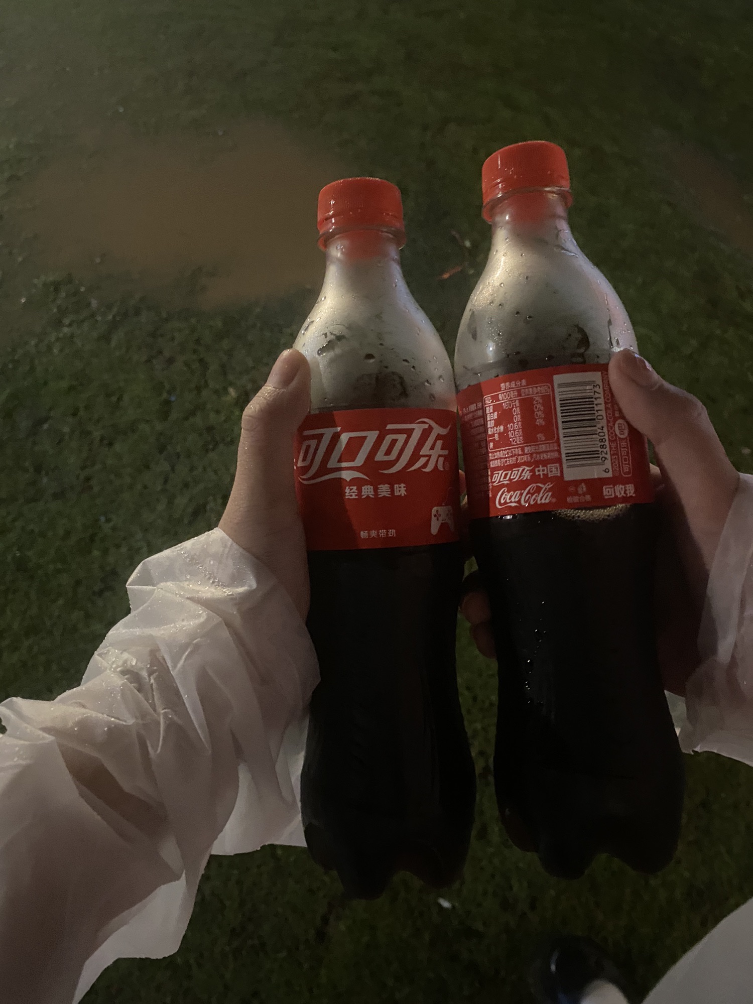 徐村大草坪旅行图片 2