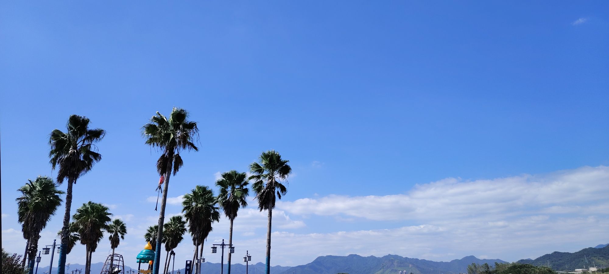 徐村大草坪旅行图片 2