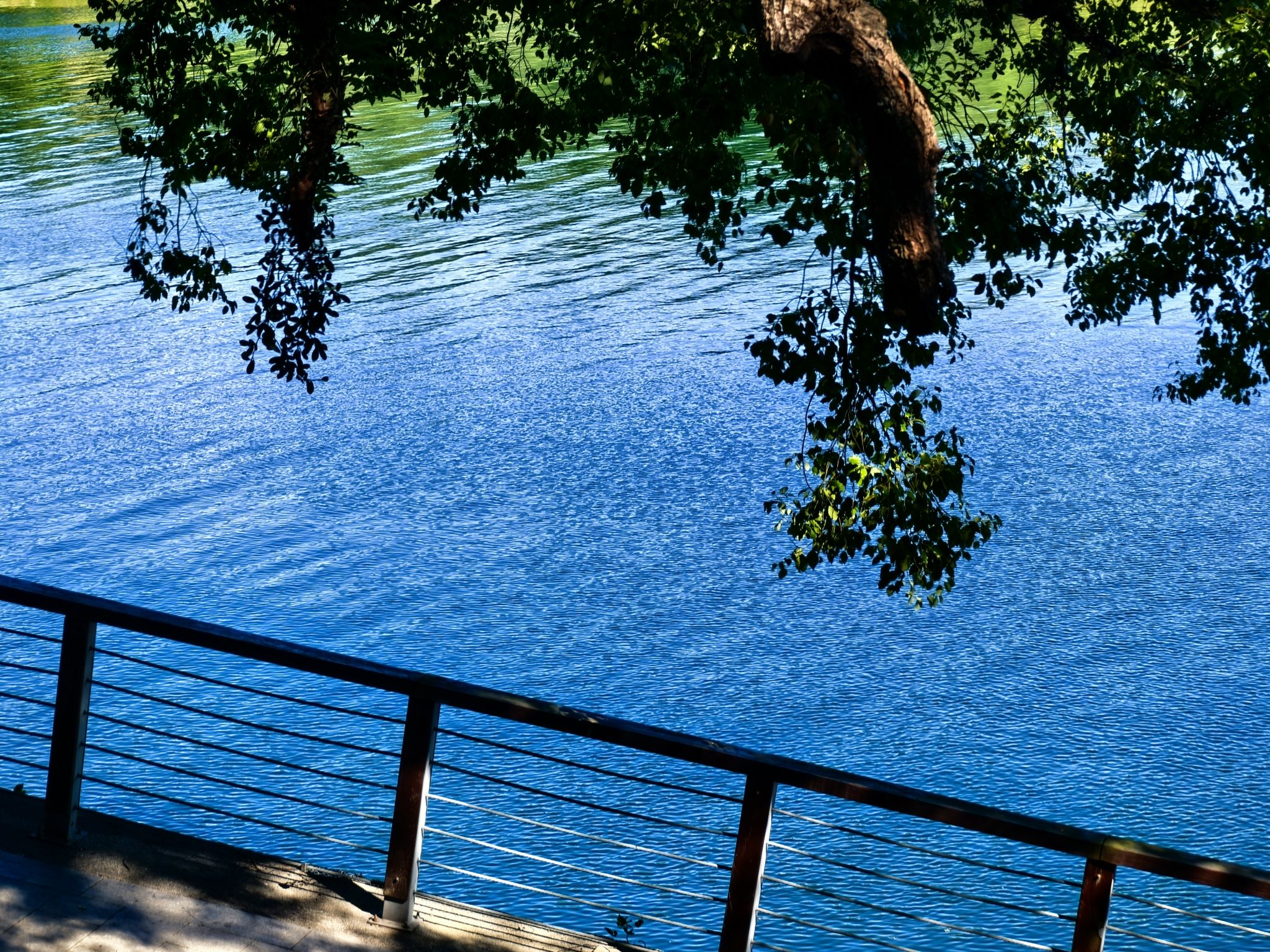 徐村大草坪旅行图片 1