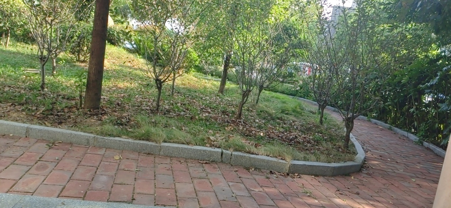西冲小游园旅行图片 2
