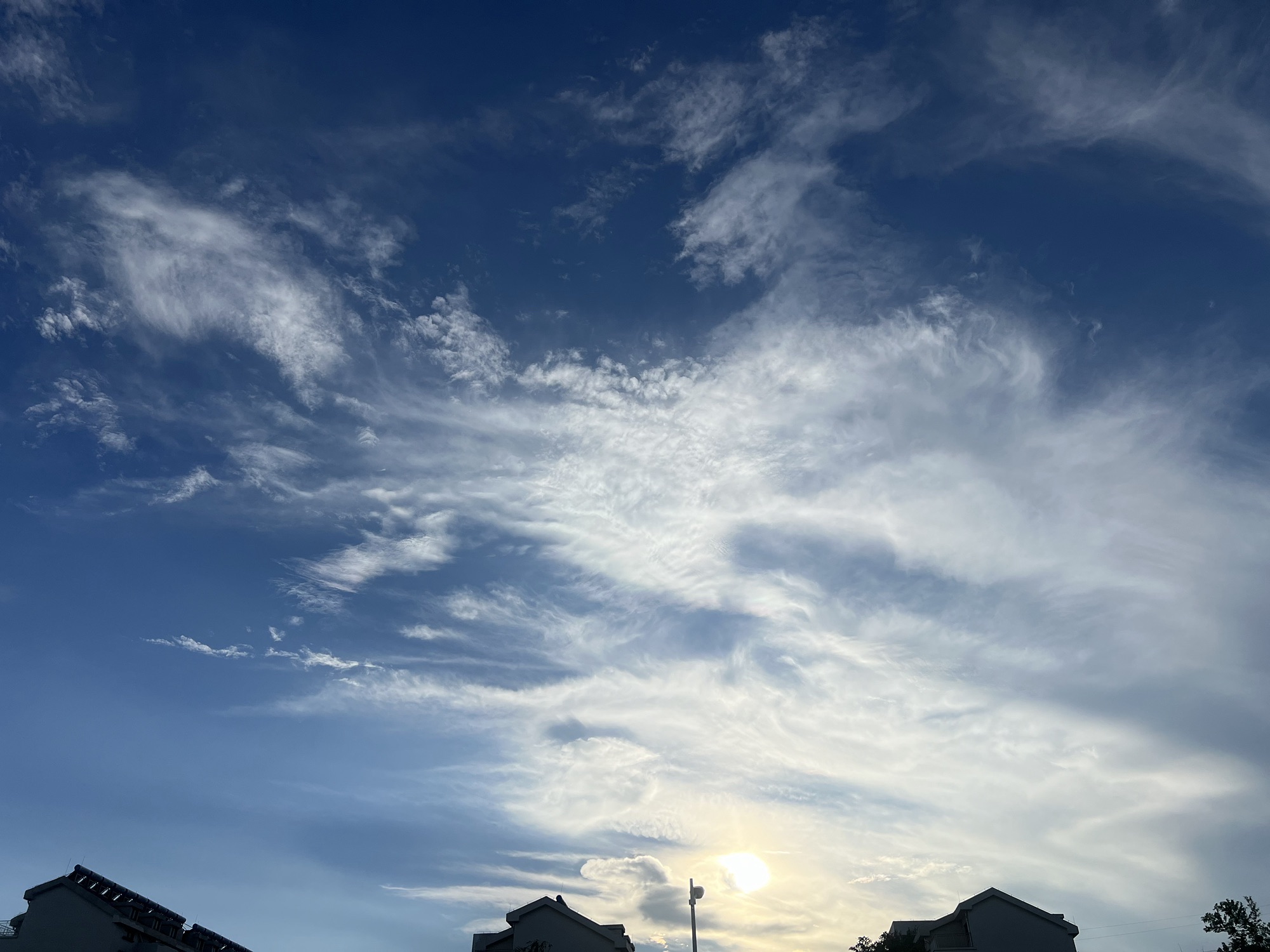 北新开河湿地公园旅行图片 3