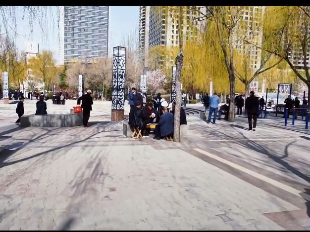 白天鹅广场旅行图片 2