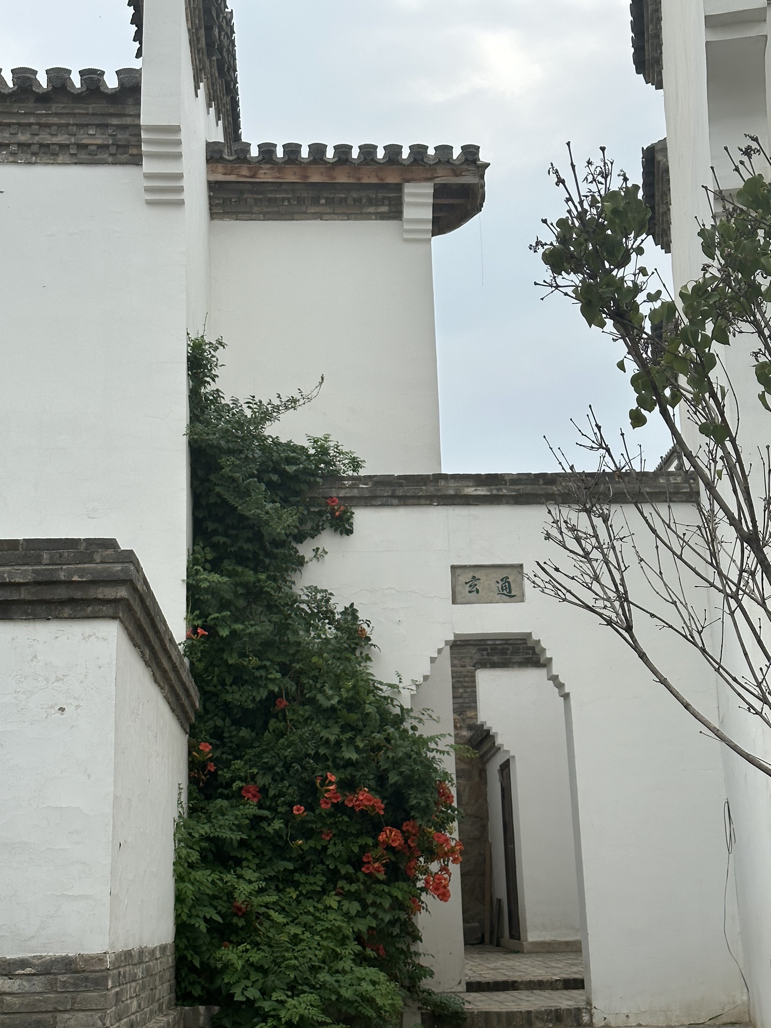 含碧园旅行图片 1