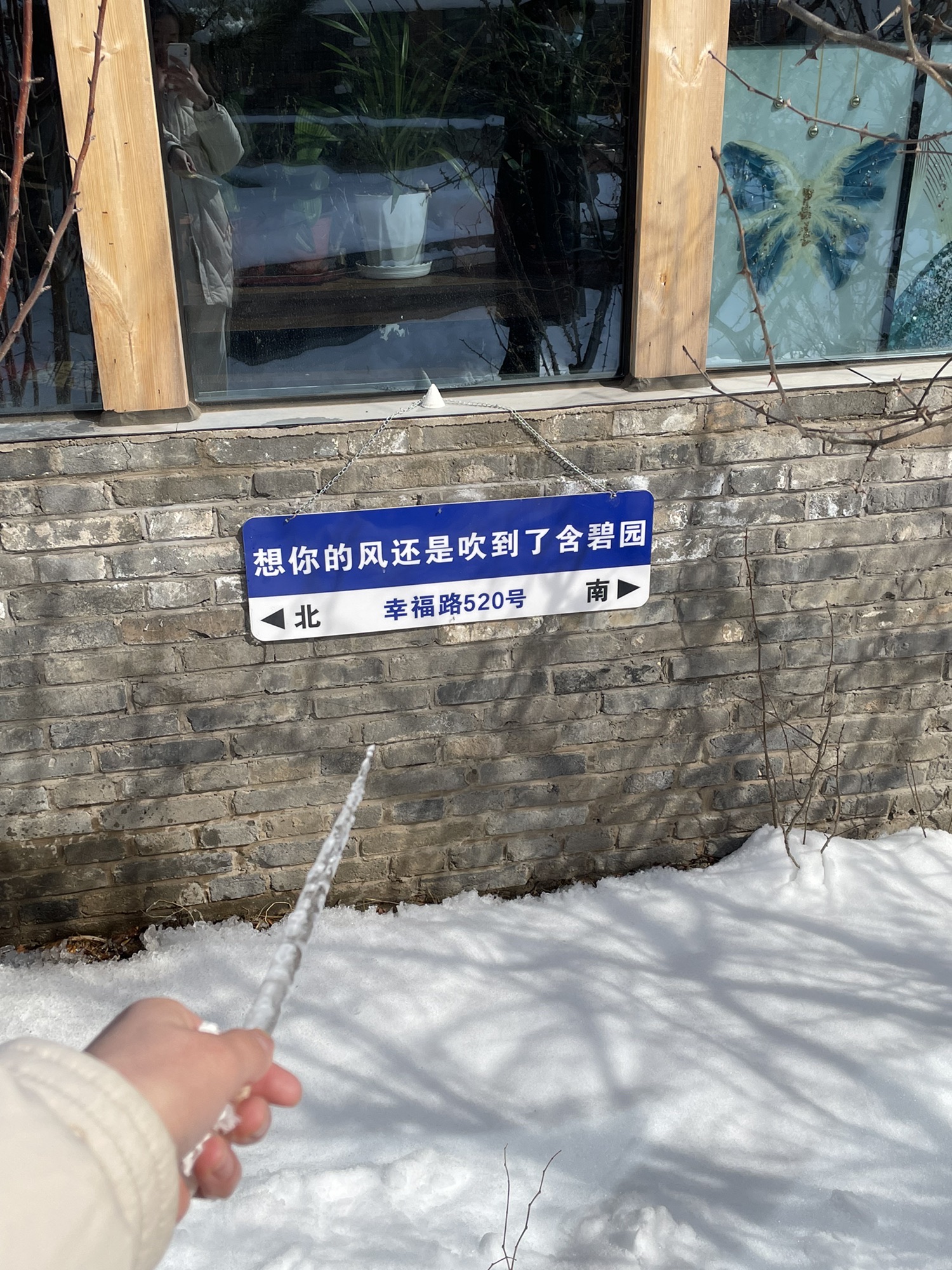 含碧园旅行图片 1