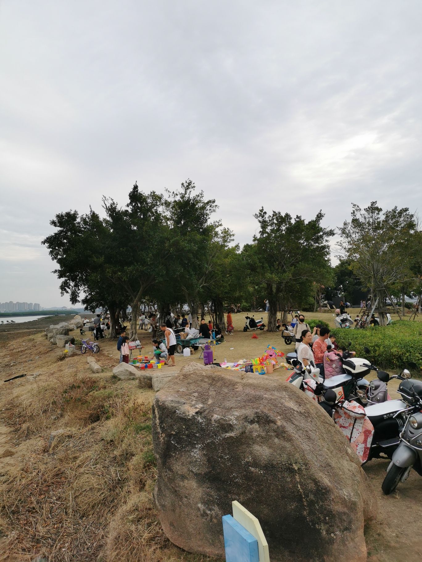 洛阳江口红树林国家级湿地公园旅行图片 1