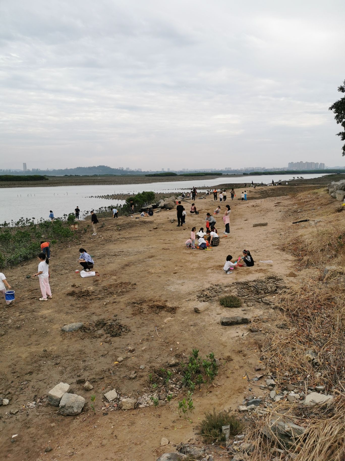 洛阳江口红树林国家级湿地公园旅行图片 2