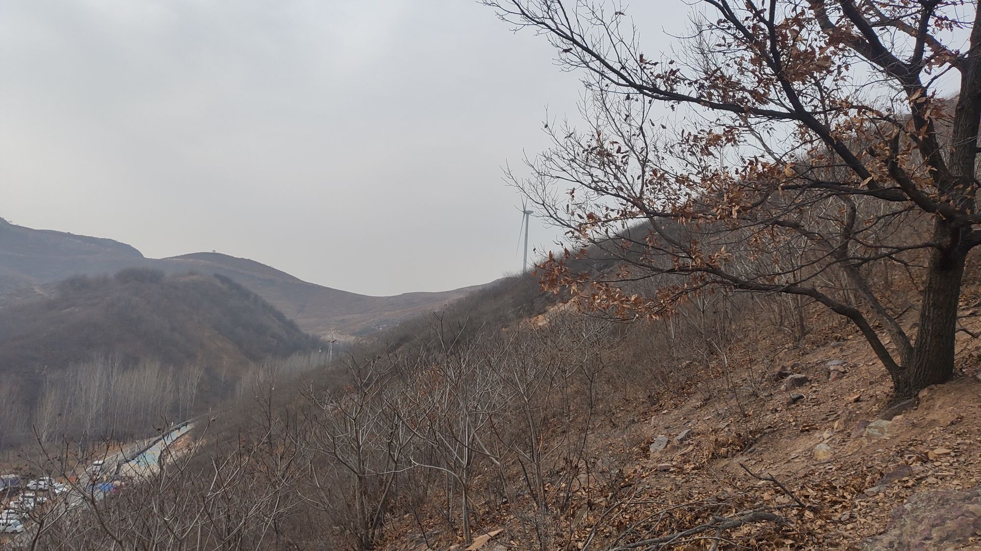 中原云裳牧场风景区旅行图片 3