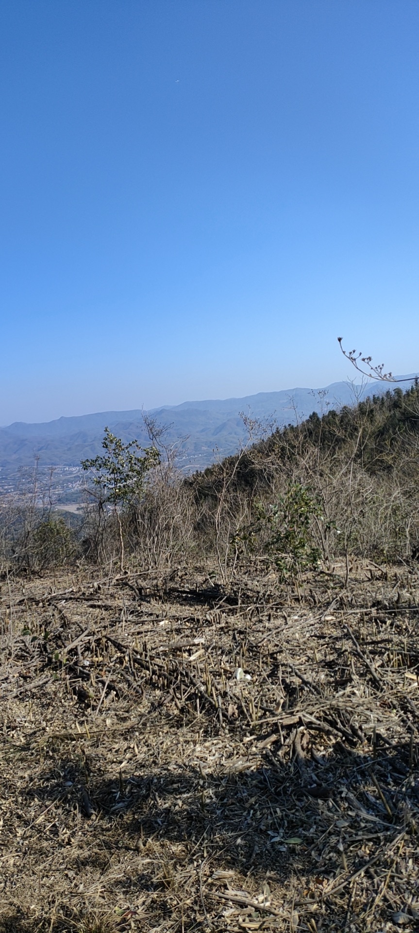 金龙山景区(皖南天梯)旅行图片 2