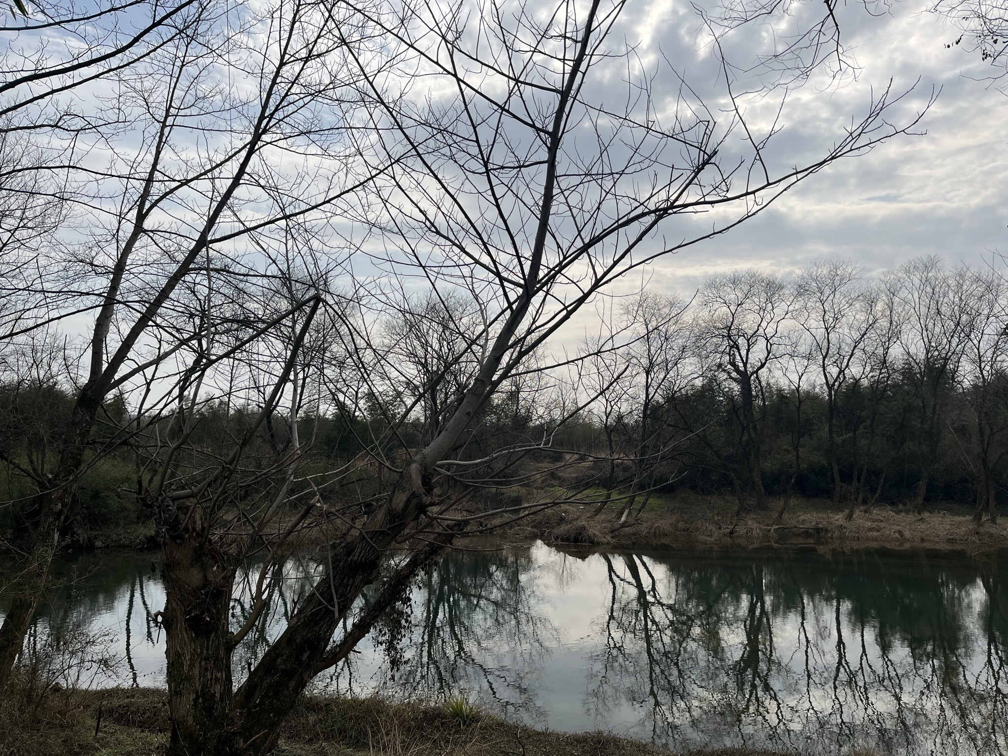 金龙山景区(皖南天梯)旅行图片 1