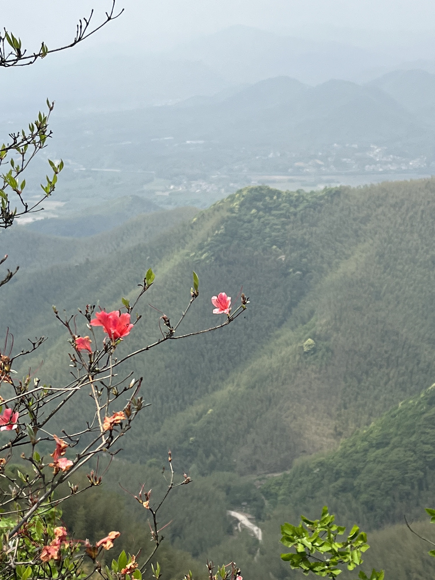金龙山景区(皖南天梯)旅行图片 3