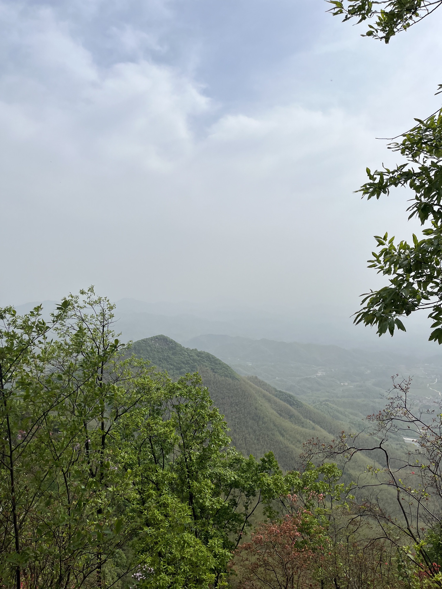 金龙山景区(皖南天梯)旅行图片 2
