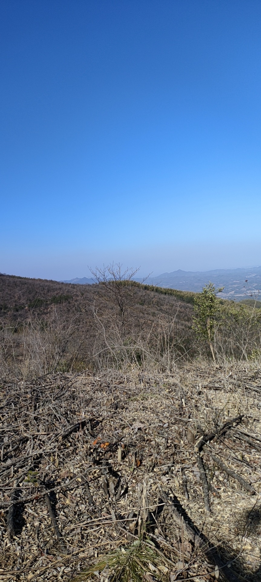 金龙山景区(皖南天梯)旅行图片 3