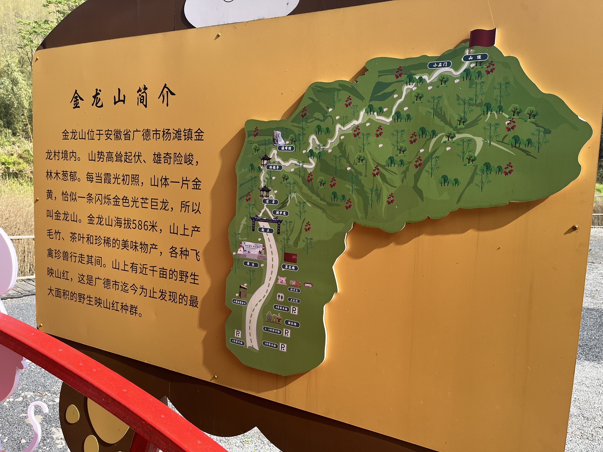 金龙山景区(皖南天梯)旅行图片 1