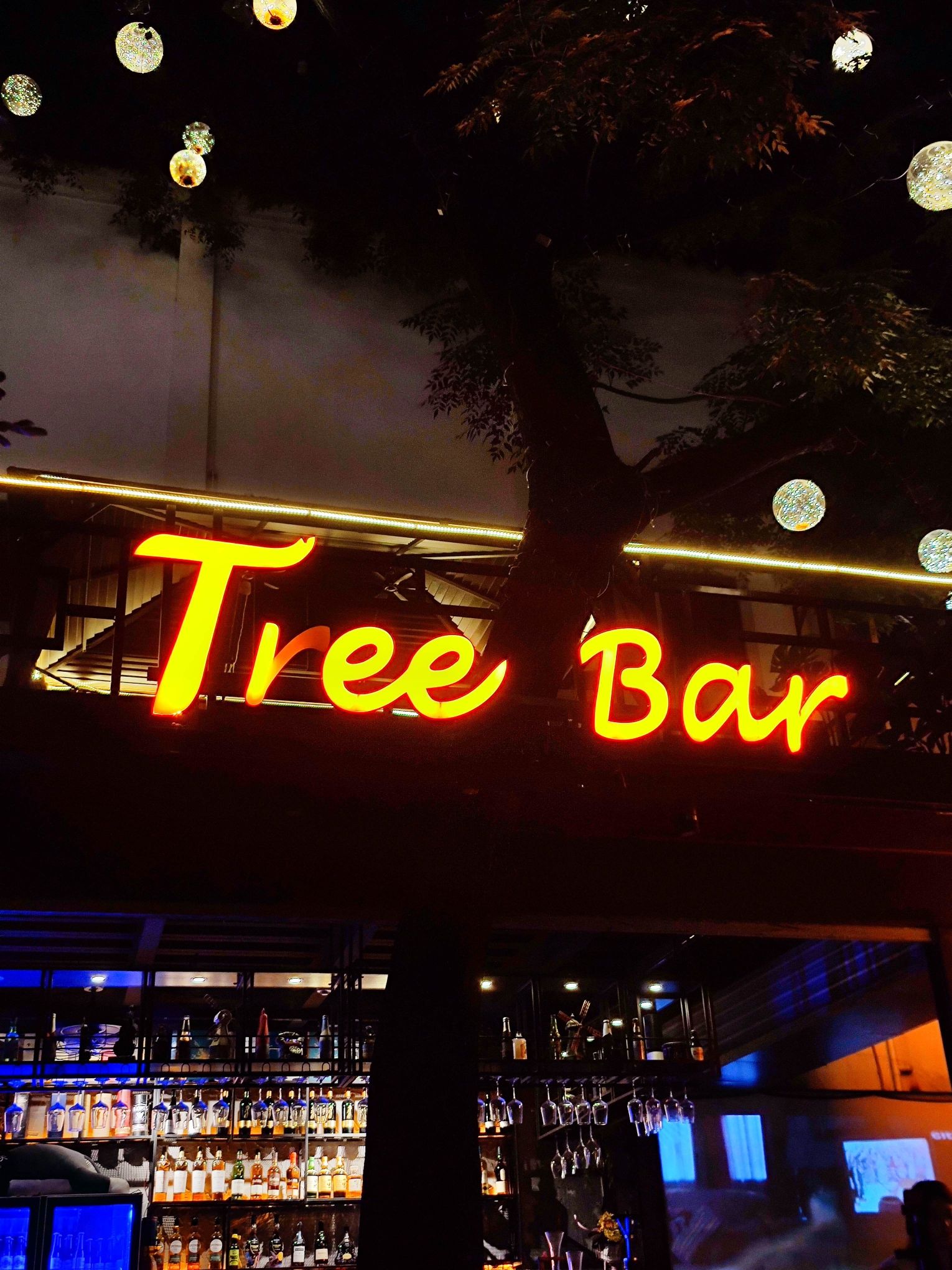 场地封面-Tree Bar
