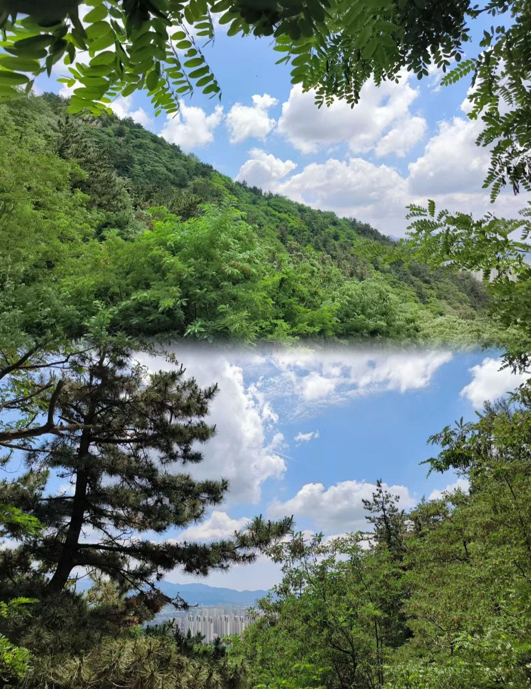 卧龙山郊野公园旅行图片 2