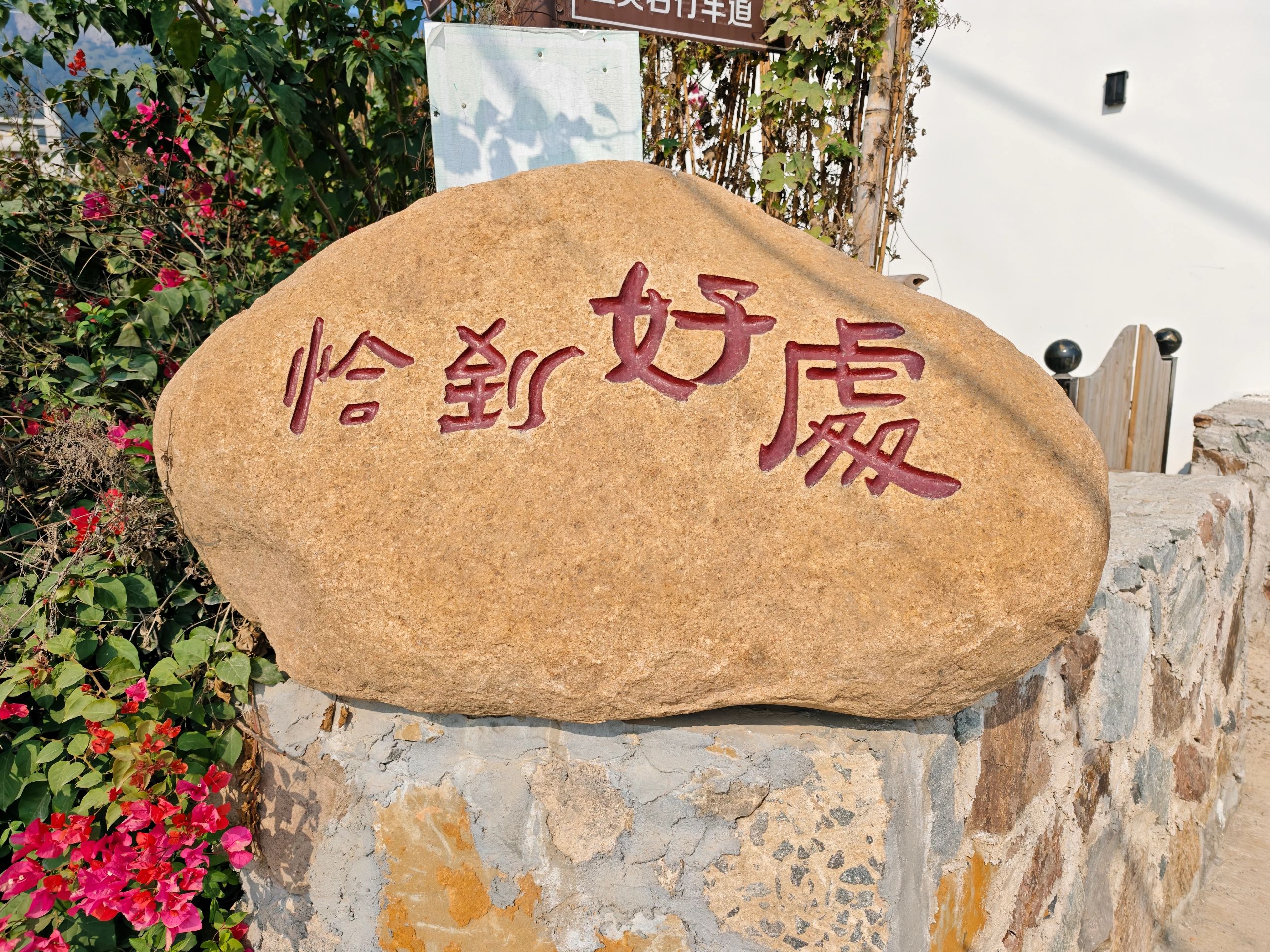 五虎山国家森林公园旅行图片 2