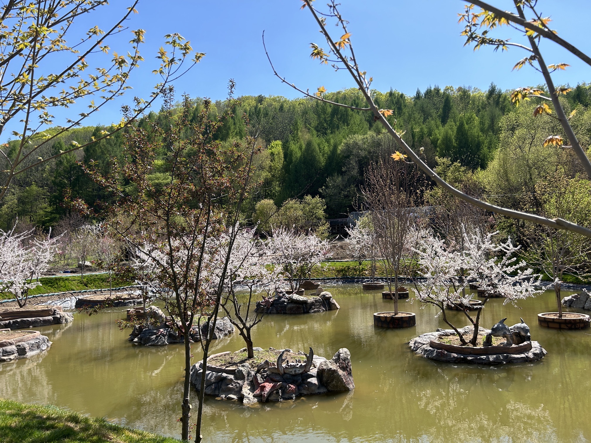 参仙谷生态旅游度假区(暂停开放)旅行图片 2