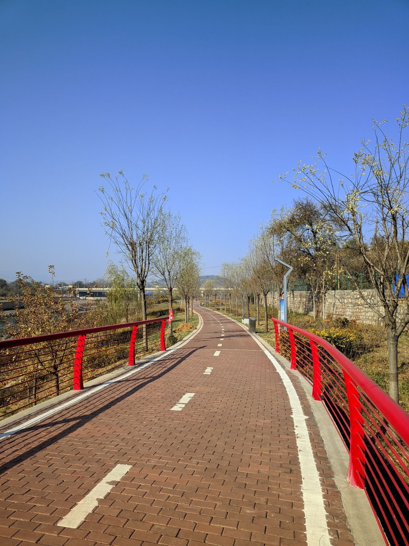白羊墅湿地公园旅行图片 3