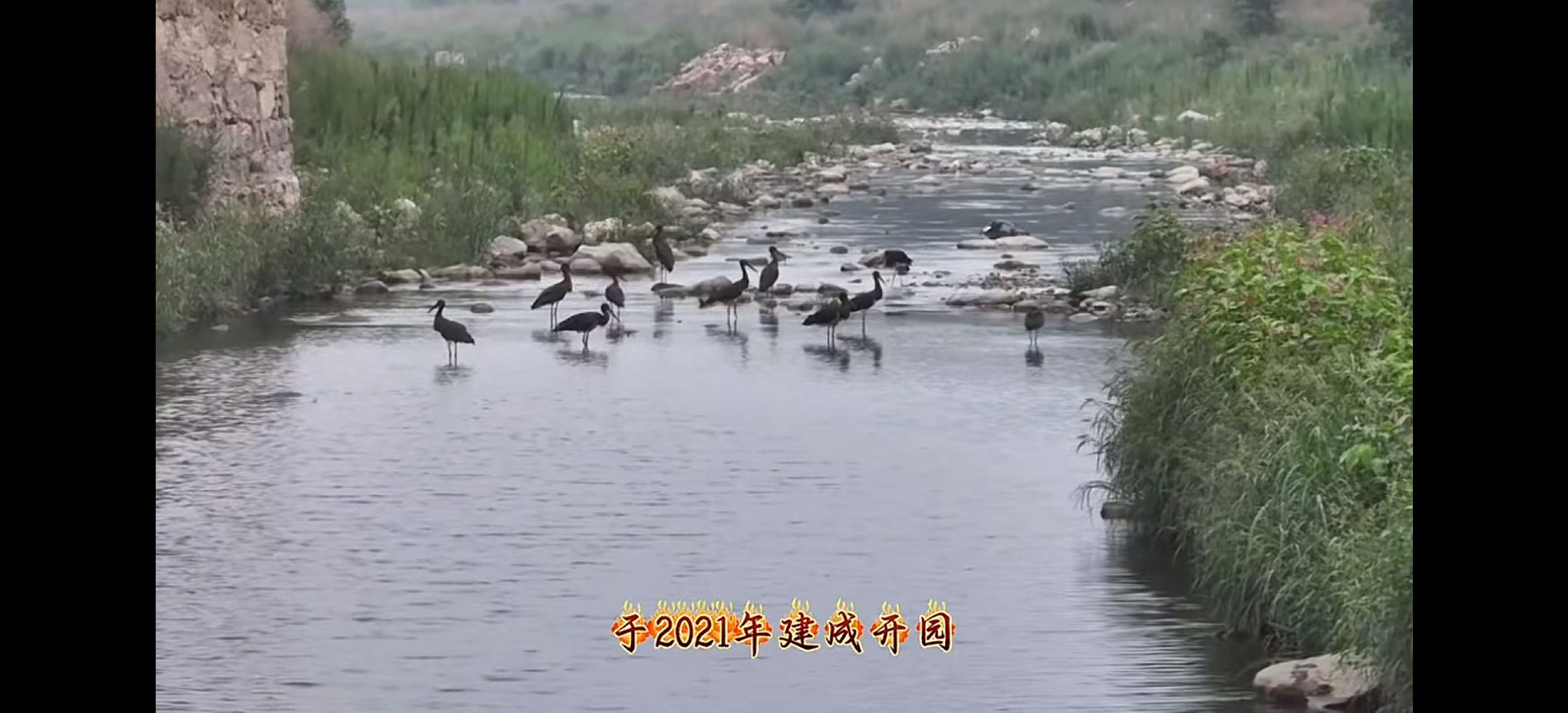 白羊墅湿地公园旅行图片 2
