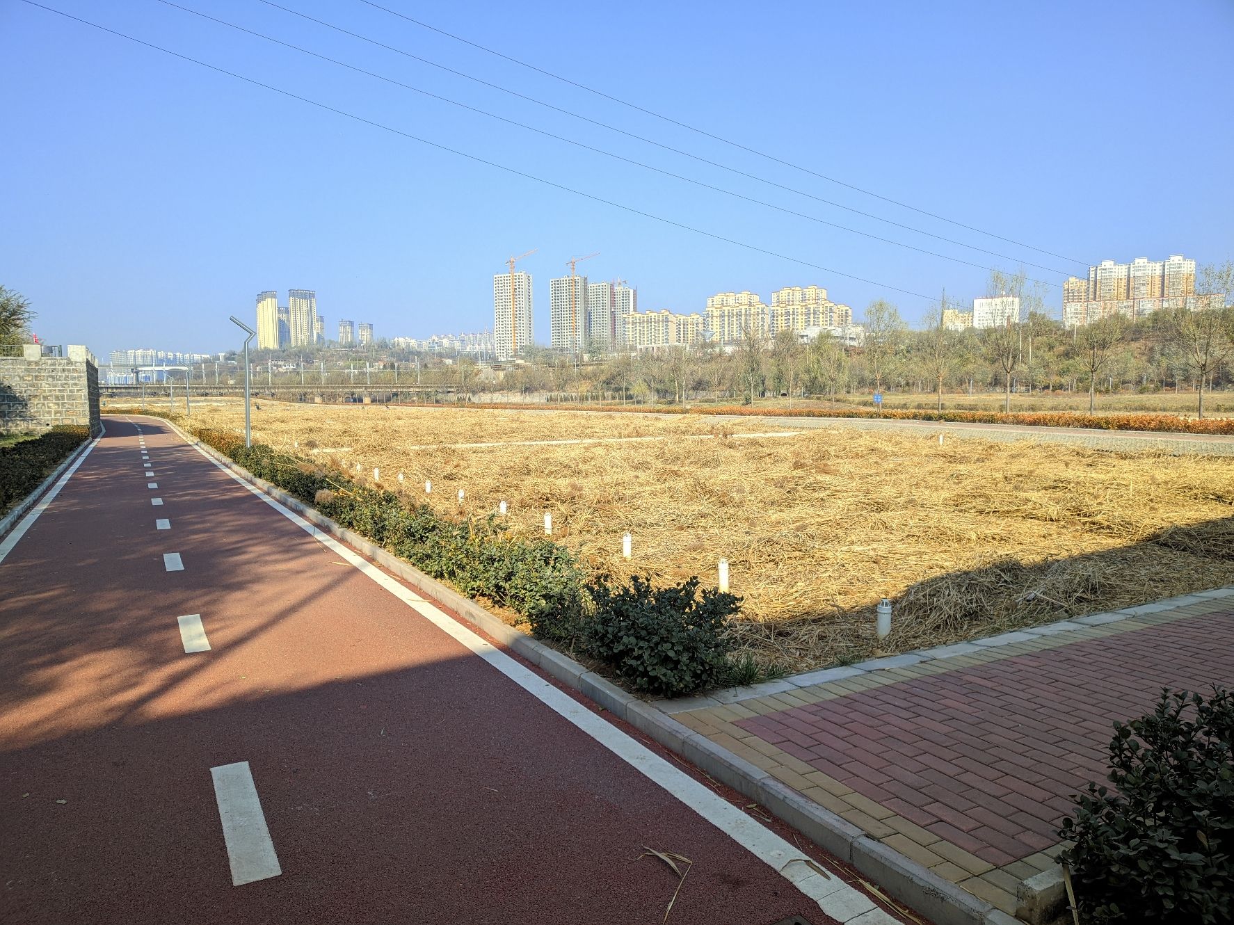 白羊墅湿地公园旅行图片 2