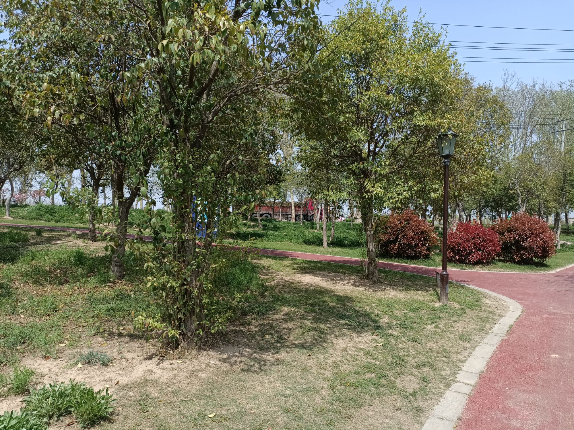华山水世界亲子探险乐园旅行图片 1