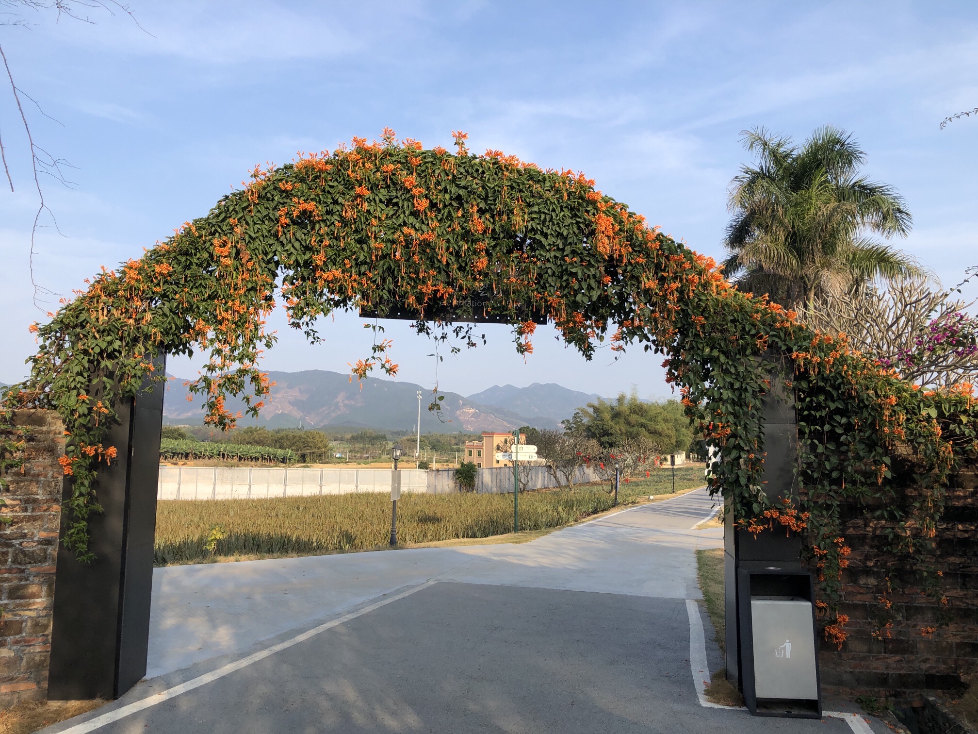 瑷露德玛芦荟庄园旅行图片 1