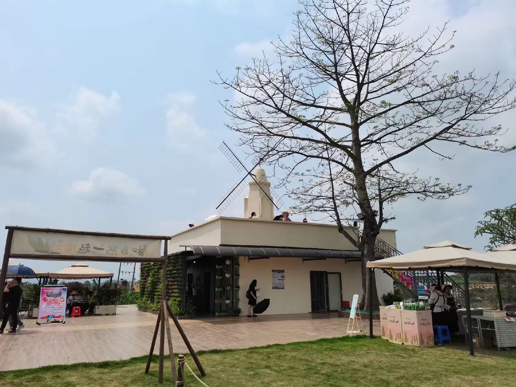瑷露德玛芦荟庄园旅行图片 3